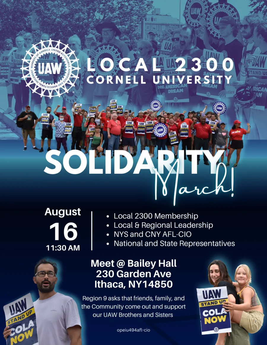 Solidarity March